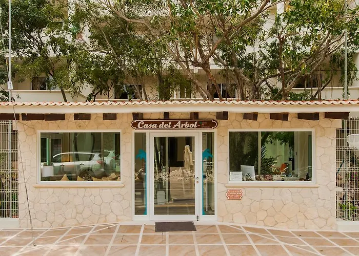Casa Del Arbol