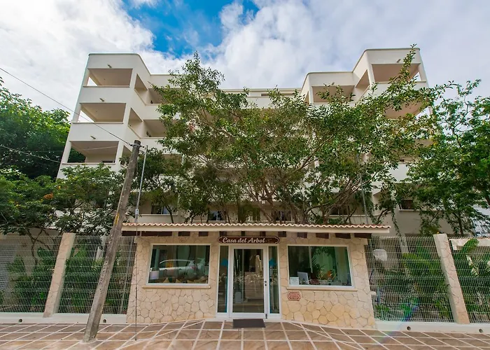 Casa Del Arbol Apartment *
